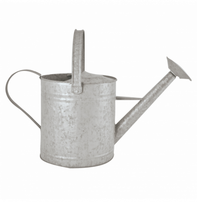 ESSCHERT DESIGN Arrosage et jardinage - Arrosoir en Zinc patin&eacute; - 3,5 L 20,5 cm Gris