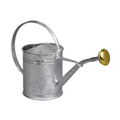 GUILLOUARD Arrosoir acier galvanis&eacute; 1l - 80300 80300