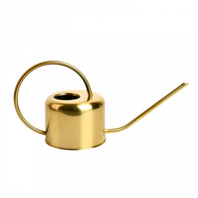 MADELEINEETGUSTAVE Arrosoir d'Int&eacute;rieur Design en Zinc Dor&eacute; - 0.9L 0,000000