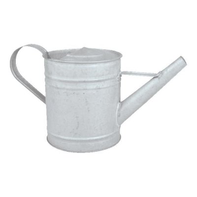 GENERIQUE Arrosoir ext&eacute;rieur - l 10,6 x l 22,8 x h 12,4 cm - zinc