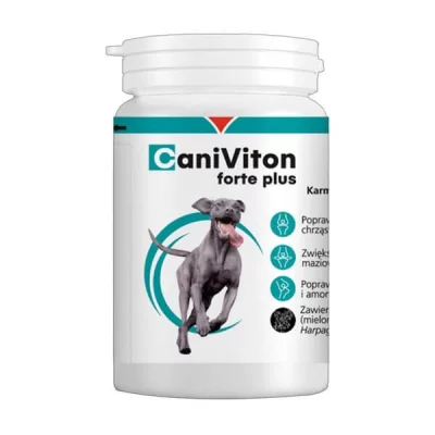 VETOQUINOL Arthrose 90 comprim&eacute;s Flexadin Chien et chat 