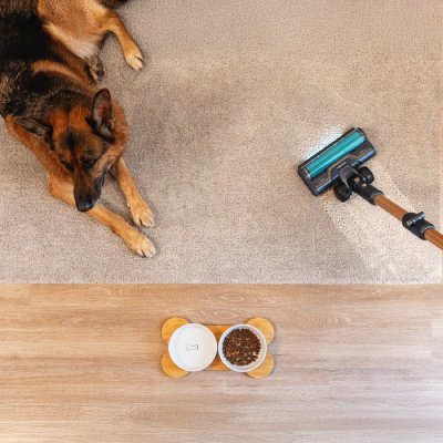 CECOTEC Aspirateur sans fil  RX70 AquaPet Flex 780 W Autonomie 100 min Filtres lavables