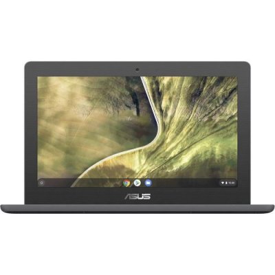 ASUS  Chromebook C204MA - Laptop 32GB, 4GB RAM, Grey