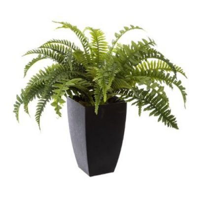 GENERIQUE Atmosphera Foug&egrave;re artificielle, H55 cm  - Ivoire