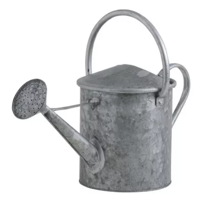AUBRY GASPARD  - Arrosoir d&eacute;coratif en zinc lourd 5 litres