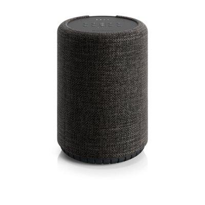 AUDIO PRO  G10 - Enceinte sans fil Bluetooth - Gris