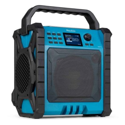 AUDIZIO  TEMI-XL Radio de Chantier 200W - DAB+/FM BT Sans Fil Batterie Powerbank IP54