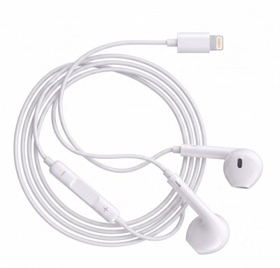 AVIZAR  &Eacute;couteurs Filaires Lightning pour iPhone SE 2020 avec Microphone int&eacute;gr&eacute; Blanc
