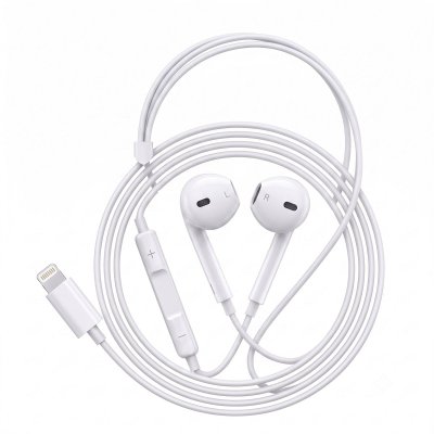 AVIZAR  &Eacute;couteurs Filaires pour iPhone 8 Lightning avec Micro int&eacute;gr&eacute; Blanc