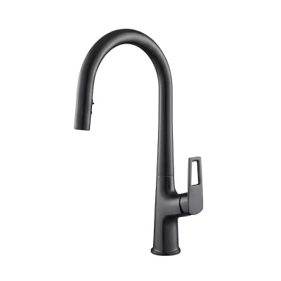AVIZAR  Robinet de Cuisine Extensible &agrave; Double Fonction Bec Haut Noir