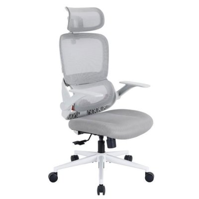 B100 SE Chaise de Bureau Ergonomique, Soutien Lombaire, Accoudoirs Rabattables, Blanc