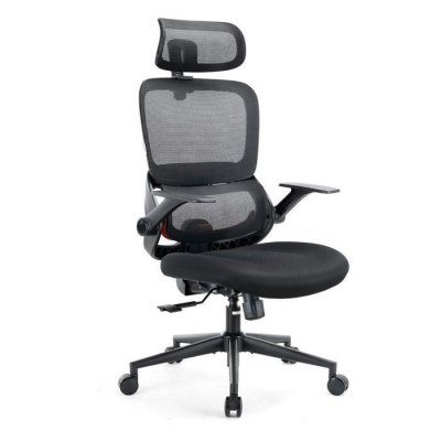 B100 SE Chaise de Bureau Ergonomique,Soutien Lombaire,Accoudoirs Rabattables,Noir