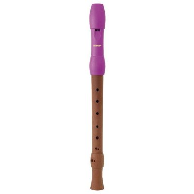 HOHNER B95861 fl&ucirc;te &agrave; bec soprano 2 pi&egrave;ces doigt&eacute; baroque (mod&egrave;le Alegra, rose)