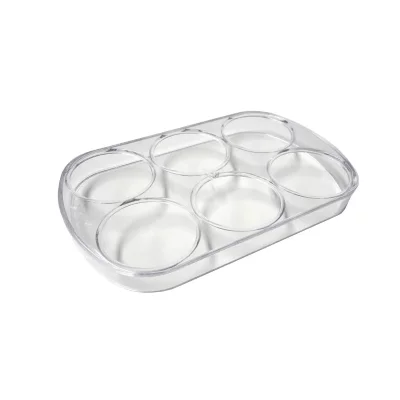 HOTPOINT Bac A Oeufs (6) (152x95x20) Scholtes Pour Refrigerateur - C00090981