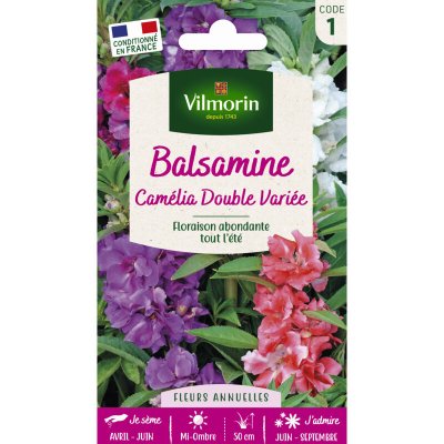 VILMORIN Balsamine cam&eacute;lia boucle vari&eacute; du rose au pourpre
