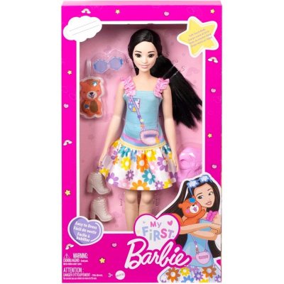 MATTEL Barbie Mfb Core Dv Doll Multicolore