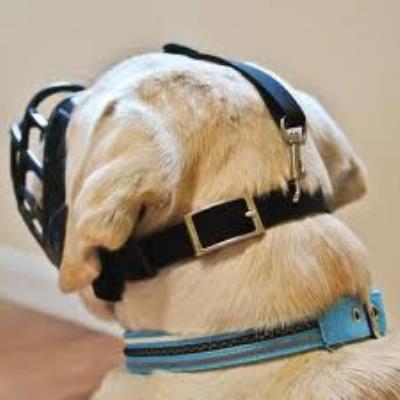 GENERIQUE Baskerville Ultra Muzzle T-2 The Company Of Animals