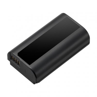 PANASONIC Batterie dmw-blj31e pour s1/s1r