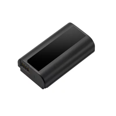 PANASONIC Batterie dmw-blj31e pour s1/s1r