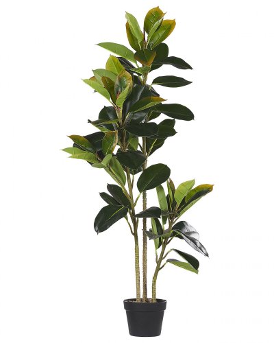 BELIANI  Plante Artificielle FICUS ELASTICA 134 cm