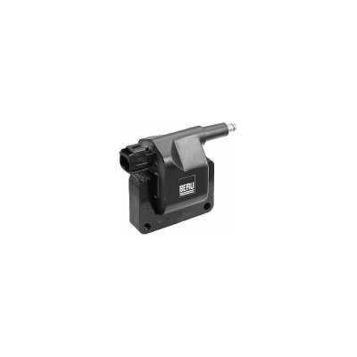 BERU Bobine d'allumage pour JEEP: Cherokee, Grand Cherokee, Wrangler &amp; RENAULT: Jeep (Ref: ZS396)