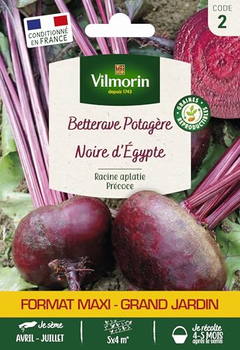 VILMORIN Betterave noire plate egypte  12 g
