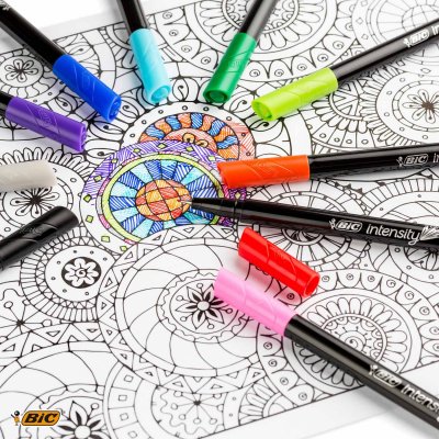 BIC  Stylo feutre Intensity Medium, &eacute;tui de 12, assorti - Lot de 2