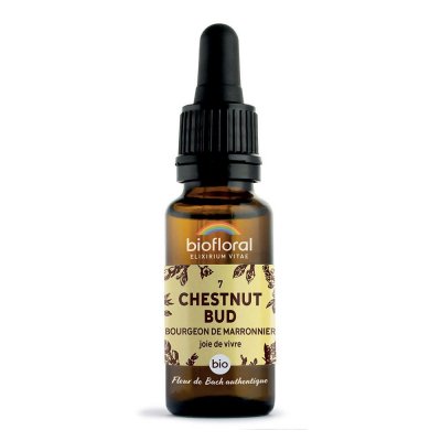 BIOFLORAL  07 - Chestnut Bud - Bourgeons marronnier - 20 ml