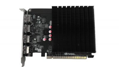 BIOSTAR  VN7313TG46, Carte graphique 