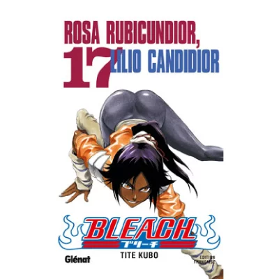 Bleach - Tome 17 - Rosa Rubicundior, Lilio Candidior (Manga)