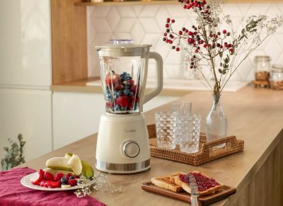 TERRAILLON Blender &eacute;lectrique -  - SUNRISE - 600W Bol en verre 15L 2 vitesses fonction pulse cr&egrave;me