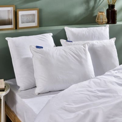 BLEU CALIN  Lot de 2 Oreillers 60x60cm Le Ferme - Confort ferme - Doux et gonflant