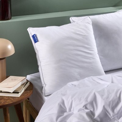 BLEU CALIN Bleu C&acirc;lin Oreiller Ultra Moelleux - Enveloppe Coton Percale - 65x65cm