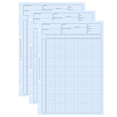 ELVE Bloc 80 feuilles de travail audit, matrice pour controle interne bleu