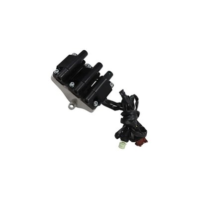 BERU Bobine d'allumage, 12 V BORGWARNER (), par ex. pour Audi