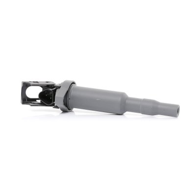 BERU Bobine d'allumage, 12 V BORGWARNER (), par ex. pour BMW