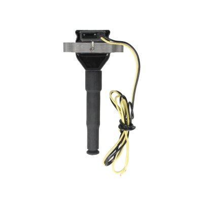 BERU Bobine d'allumage BORG WARNER () 0040100043