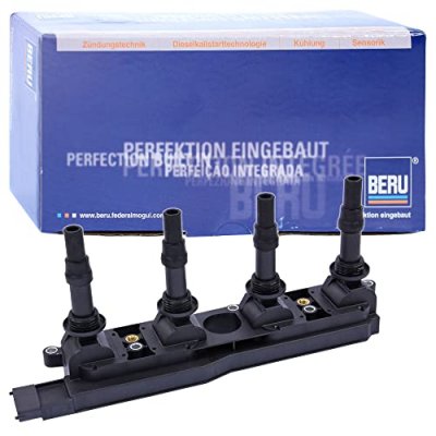 BERU Bobine d'allumage BorgWarner () ZS342 (X1)