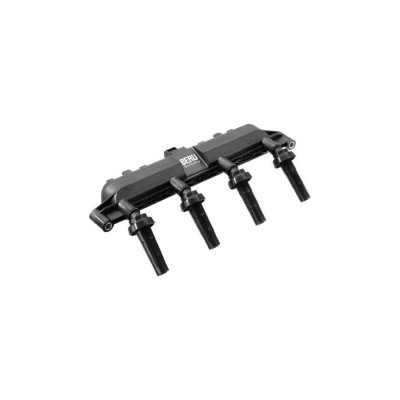 BERU Bobine d'allumage BorgWarner () ZS381 (X1)
