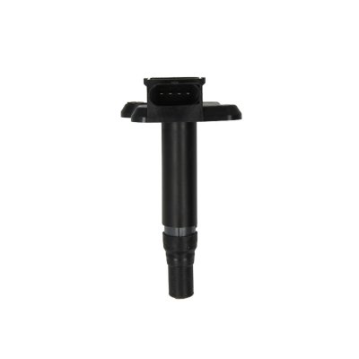 BORG WARNER Bobine d'allumage BorgWarner (BERU) ZSE009 (X1)