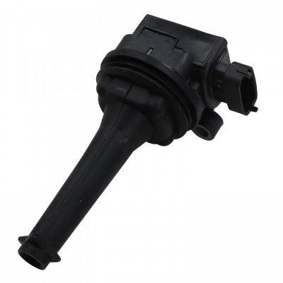 BERU Bobine d'allumage BorgWarner () ZSE019 (X1)