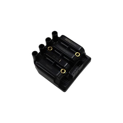 BERU Bobine d'allumage BorgWarner () ZSE029 (X1)