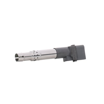 BERU Bobine d'allumage BorgWarner () ZSE044 (X1)