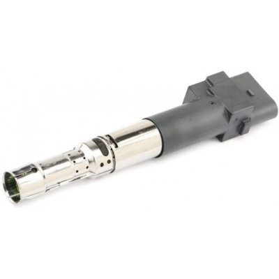 Bobine d'allumage BorgWarner (BERU) ZSE063 (X1)