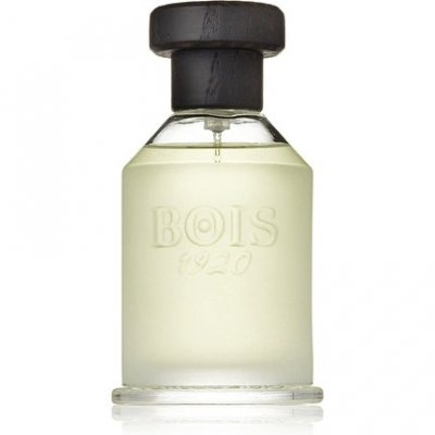Bois 1920 - Agrumi Amari di Sicilia Eau de Parfum Spray parfum 100 ml