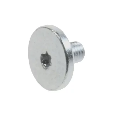 BOSCH  B/s/h - Vis - Ref: 00621731