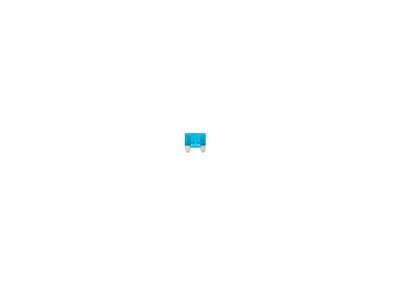 BOSCH  Fusible 1 987 529 031