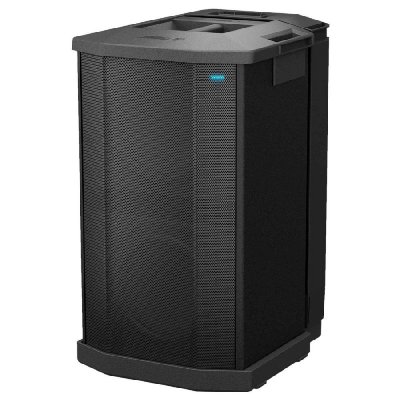 BOSE  Caisson de Basses F1 Flexible Array Syst&egrave;me