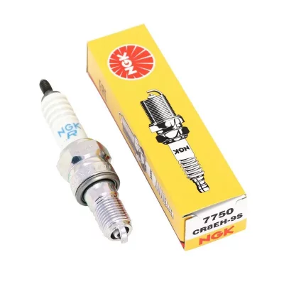 NGK Bougie d'allumage  7750 (X1)