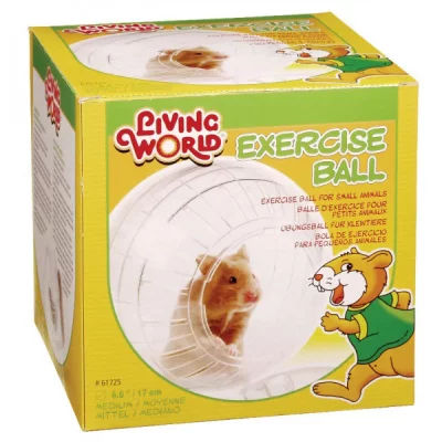 LIVING WORLD Boule dExercice  Petite Taille 17 cm 